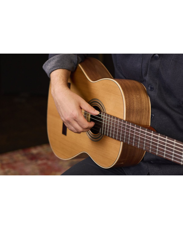 Ortega R20GWN Traditional Series 4/4 size Nylon String Guitar 6-String + Pro Gig Bag