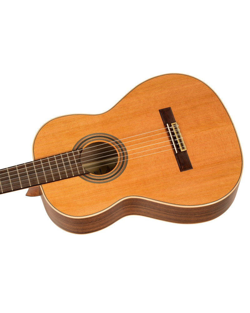 Ortega R20GWN-L Traditional Series 4/4 size Nylon String Guitar 6-String, lefthanded + Pro Gig Bag