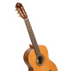 Ortega R20GWN-L Traditional Series 4/4 size Nylon String Guitar 6-String, lefthanded + Pro Gig Bag
