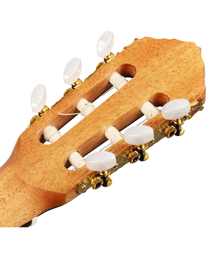Ortega R20GWN-L Traditional Series 4/4 size Nylon String Guitar 6-String, lefthanded + Pro Gig Bag