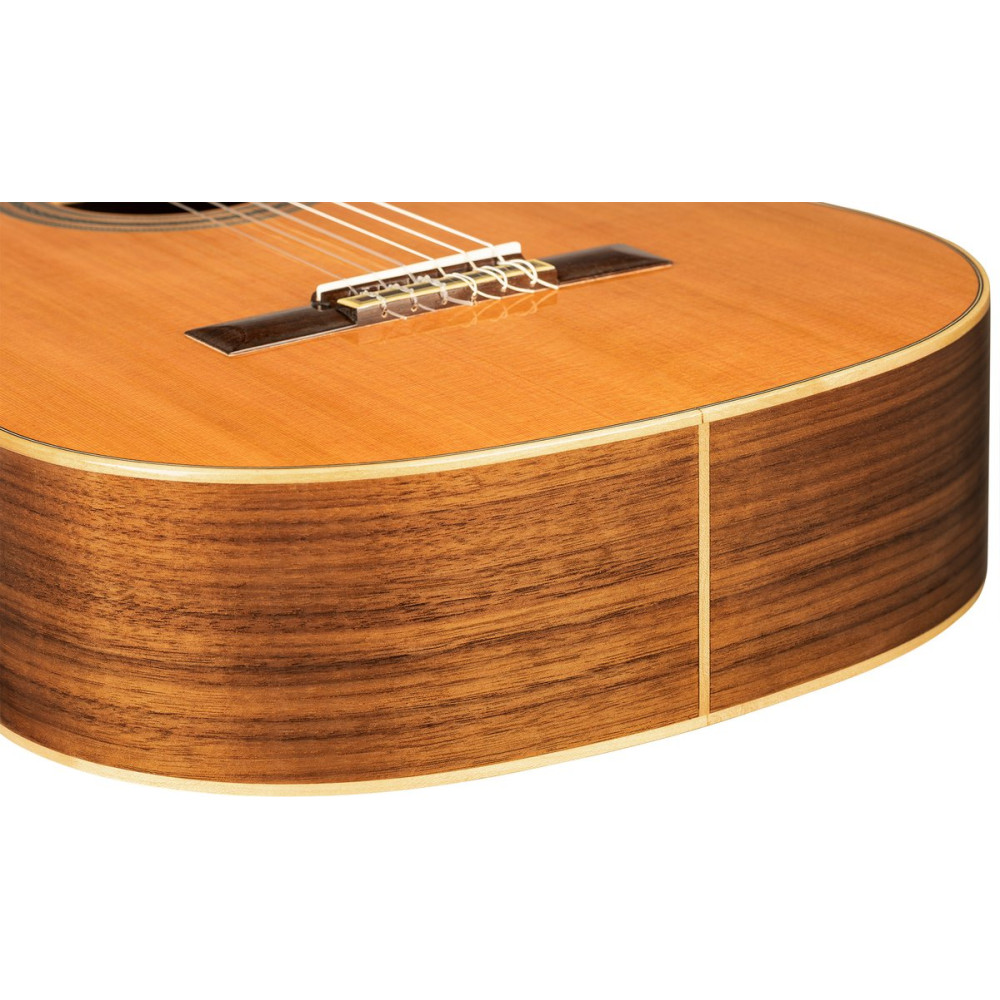 Ortega R20GWN-L Traditional Series 4/4 size Nylon String Guitar 6-String, lefthanded + Pro Gig Bag