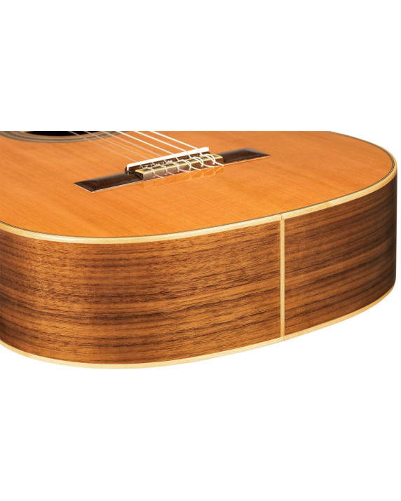 Ortega R20GWN-L Traditional Series 4/4 size Nylon String Guitar 6-String, lefthanded + Pro Gig Bag