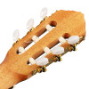 Ortega R20GWN-L Traditional Series 4/4 size Nylon String Guitar 6-String, lefthanded + Pro Gig Bag