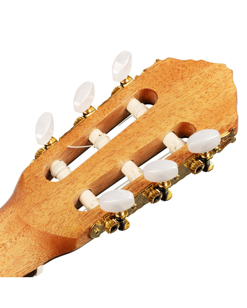 Ortega R20GWN-L Traditional Series 4/4 size Nylon String Guitar 6-String, lefthanded + Pro Gig Bag