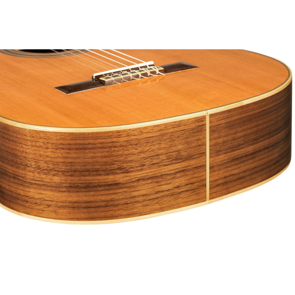 Ortega R20GWN-L Traditional Series 4/4 size Nylon String Guitar 6-String, lefthanded + Pro Gig Bag