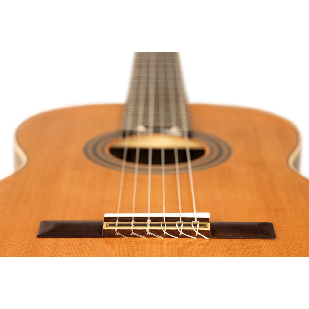 Ortega R20GWN-L Traditional Series 4/4 size Nylon String Guitar 6-String, lefthanded + Pro Gig Bag