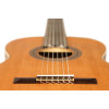 Ortega R20GWN-L Traditional Series 4/4 size Nylon String Guitar 6-String, lefthanded + Pro Gig Bag