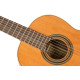Ortega R20GWN-L Traditional Series 4/4 size Nylon String Guitar 6-String, lefthanded + Pro Gig Bag