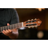 Ortega R221BK Family Series 4/4 Classical Guitar 6 String - Spruce / Mahogany Black + Bag