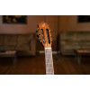 Ortega R221BK-7/8 Family Series 7/8 Classical Guitar 6 String - Spruce / Mahogany Black + Gig Bag