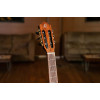 Ortega R221SNBK Family Series 4/4 Classical Slim Neck Guitar 6 String - Spruce / Mahogany Black + Gig Bag
