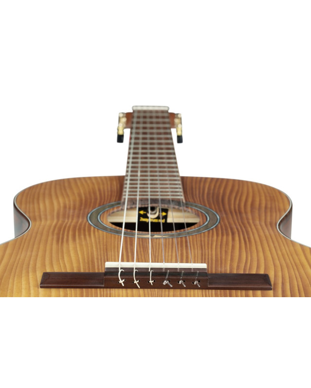 Ortega R23RO Thermo Series 4/4 Nylon String Guitar 6-String - Satin Dark Brown + Gig Bag