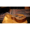 Ortega R23RO Thermo Series 4/4 Nylon String Guitar 6-String - Satin Dark Brown + Gig Bag