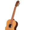 Ortega R24RO Thermo Series 4/4 Nylon String Guitar 6-String + Pro Gig Bag