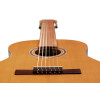Ortega R24RO Thermo Series 4/4 Nylon String Guitar 6-String + Pro Gig Bag