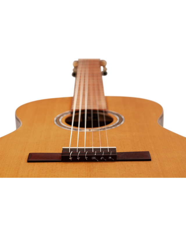 Ortega R24RO Thermo Series 4/4 Nylon String Guitar 6-String + Pro Gig Bag