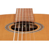 Ortega R24RO Thermo Series 4/4 Nylon String Guitar 6-String + Pro Gig Bag
