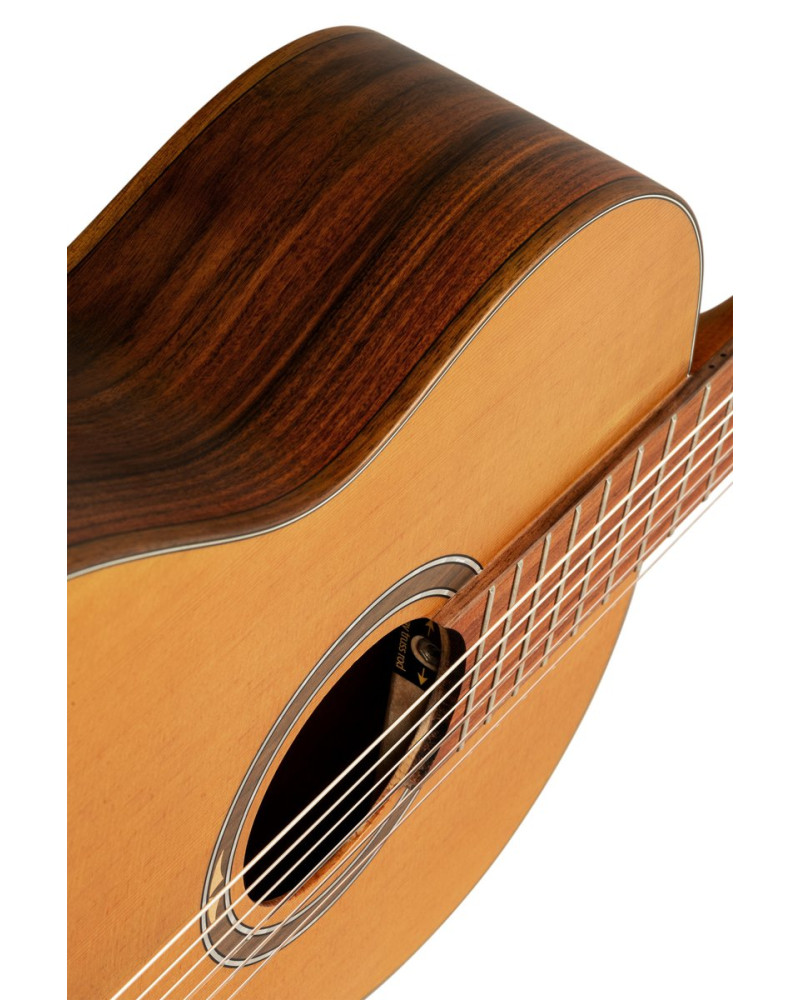 Ortega R24RO Thermo Series 4/4 Nylon String Guitar 6-String + Pro Gig Bag