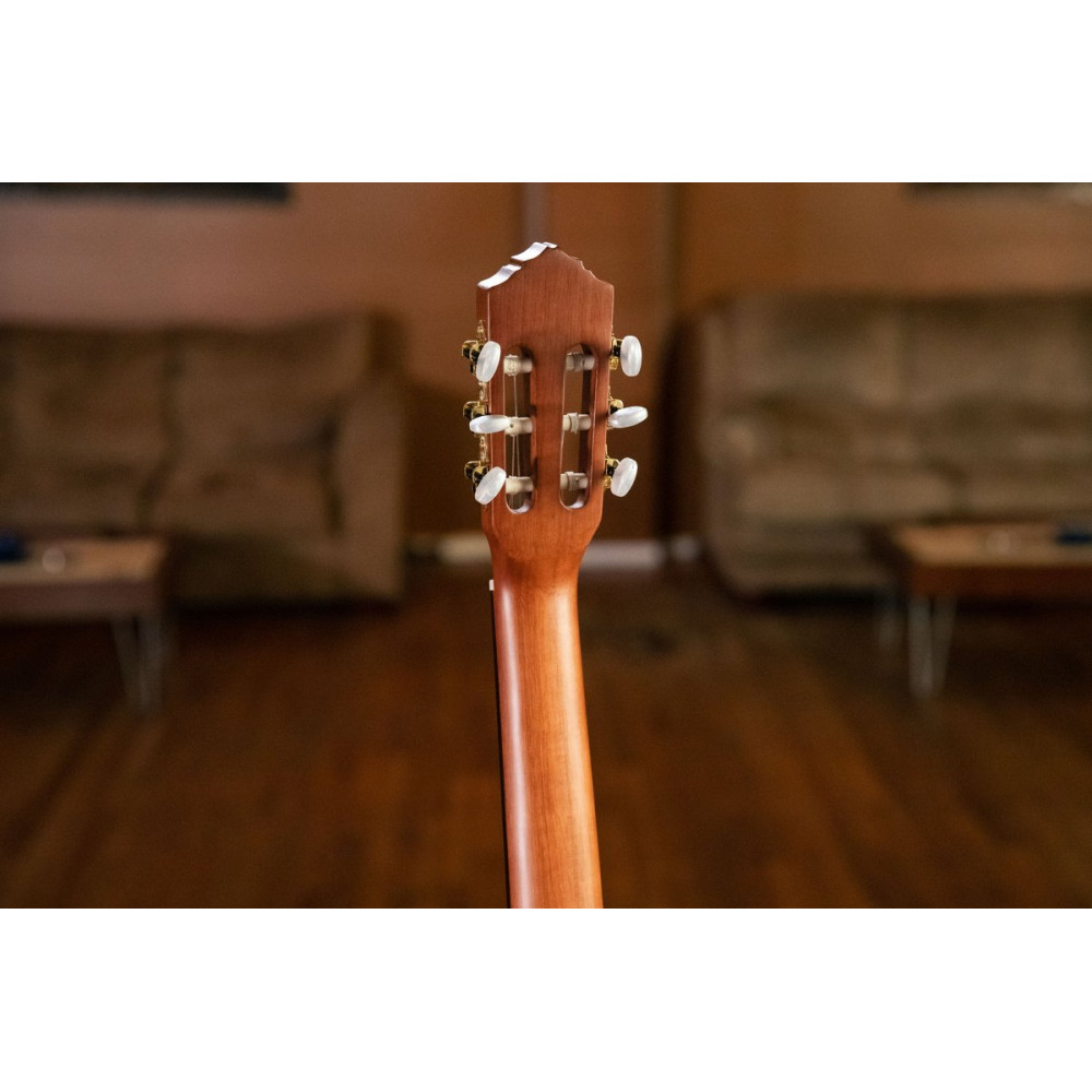 Ortega R55DLX Student Series Pro DeLuxe 4/4 Classical Guitar 6 String - Solid Spruce / Catalpa Natural