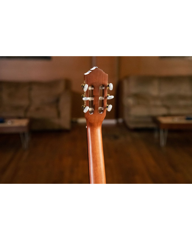 Ortega R55DLX Student Series Pro DeLuxe 4/4 Classical Guitar 6 String - Solid Spruce / Catalpa Natural