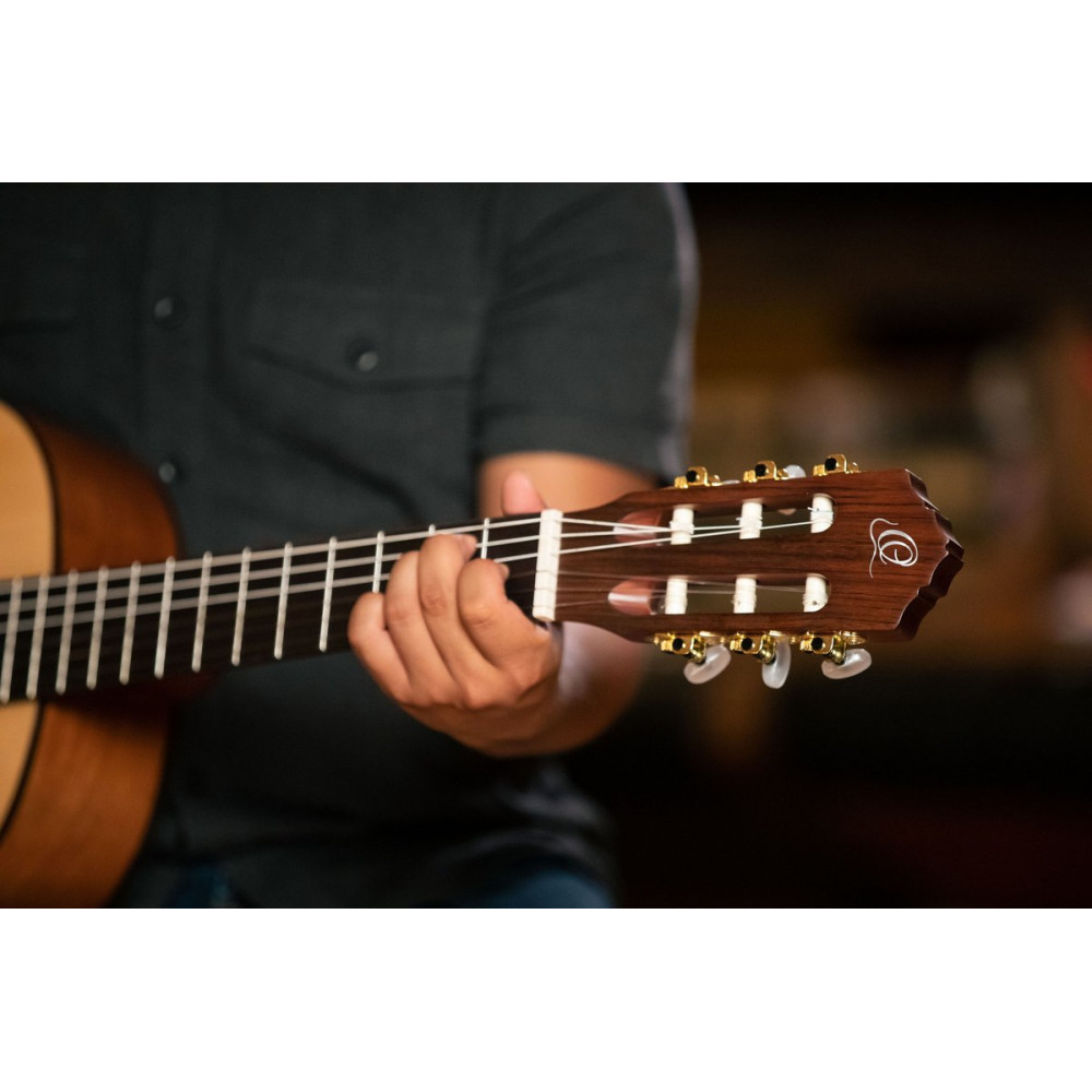 Ortega R55DLX Student Series Pro DeLuxe 4/4 Classical Guitar 6 String - Solid Spruce / Catalpa Natural