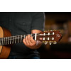 Ortega R55DLX Student Series Pro DeLuxe 4/4 Classical Guitar 6 String - Solid Spruce / Catalpa Natural