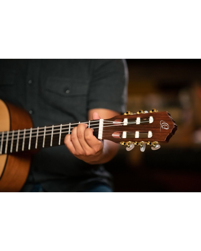 Ortega R55DLX Student Series Pro DeLuxe 4/4 Classical Guitar 6 String - Solid Spruce / Catalpa Natural