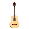 Ortega R55DLX Student Series Pro DeLuxe 4/4 Classical Guitar 6 String - Solid Spruce / Catalpa Natural