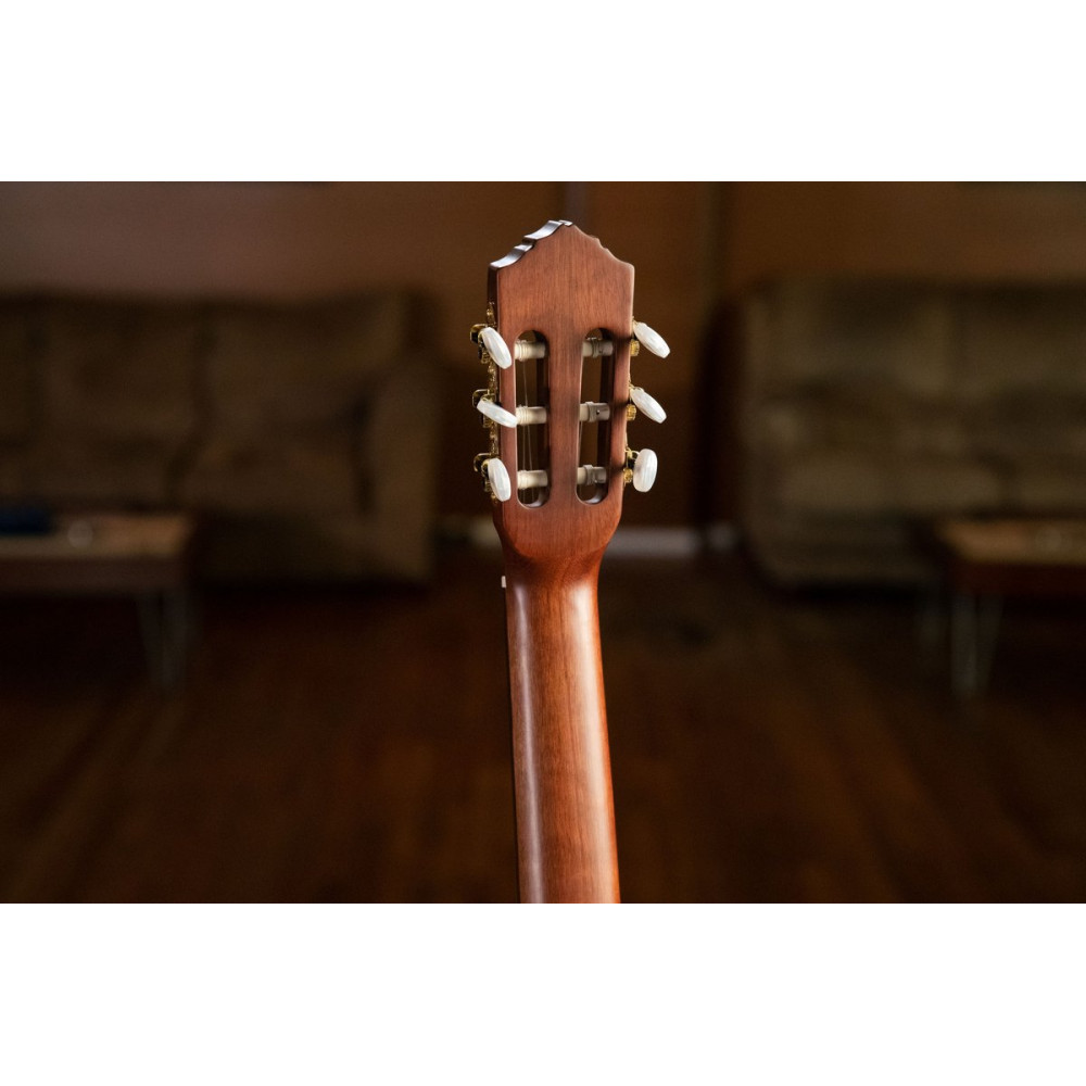 Ortega R55DLX-BFT Student Series Pro DeLuxe 4/4 Classical Guitar 6 String - Solid Spruce / Catalpa Bourbon Fade