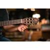 Ortega R55DLX-BFT Student Series Pro DeLuxe 4/4 Classical Guitar 6 String - Solid Spruce / Catalpa Bourbon Fade