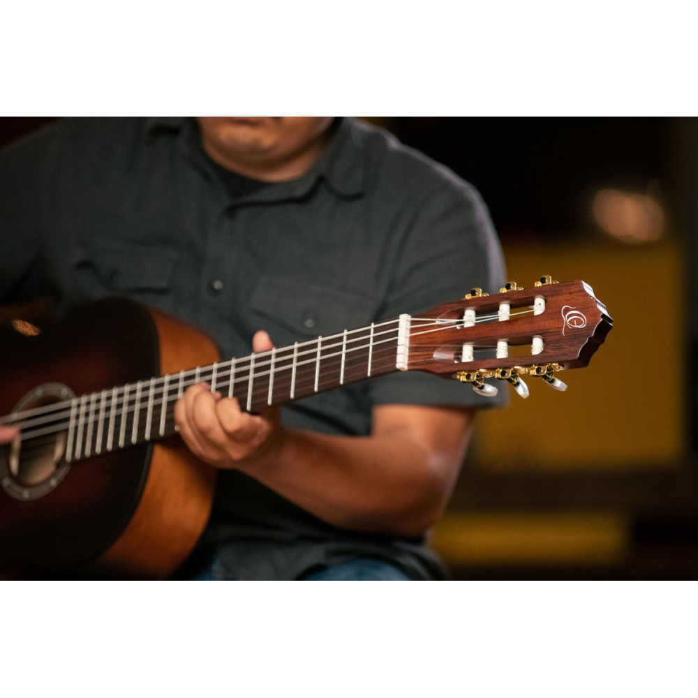 Ortega R55DLX-BFT Student Series Pro DeLuxe 4/4 Classical Guitar 6 String - Solid Spruce / Catalpa Bourbon Fade