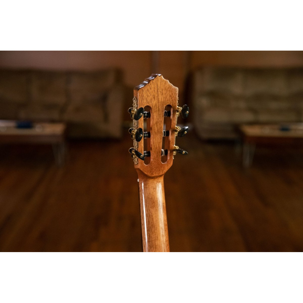 Ortega RCE138-T4 Performer Series 4/4 Thinline Classical Guitar 6-String - Natural + Gig Bag