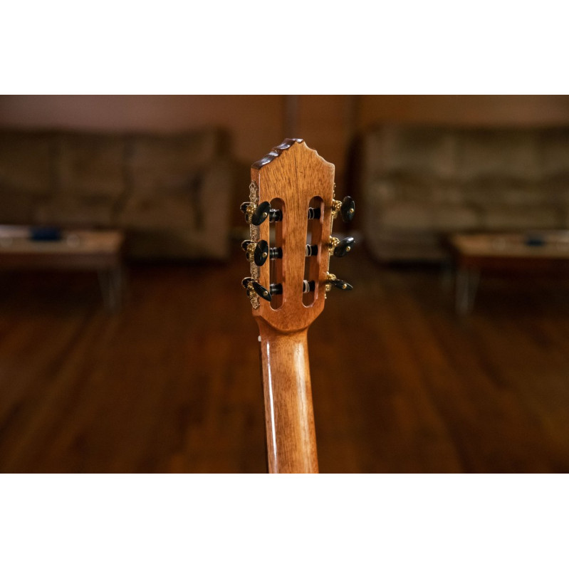 Ortega RCE138-T4 Performer Series 4/4 Thinline Classical Guitar 6-String - Natural + Gig Bag