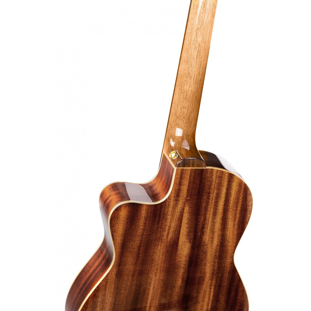 Ortega RCE138-T4 Performer Series 4/4 Thinline Classical Guitar 6-String - Natural + Gig Bag