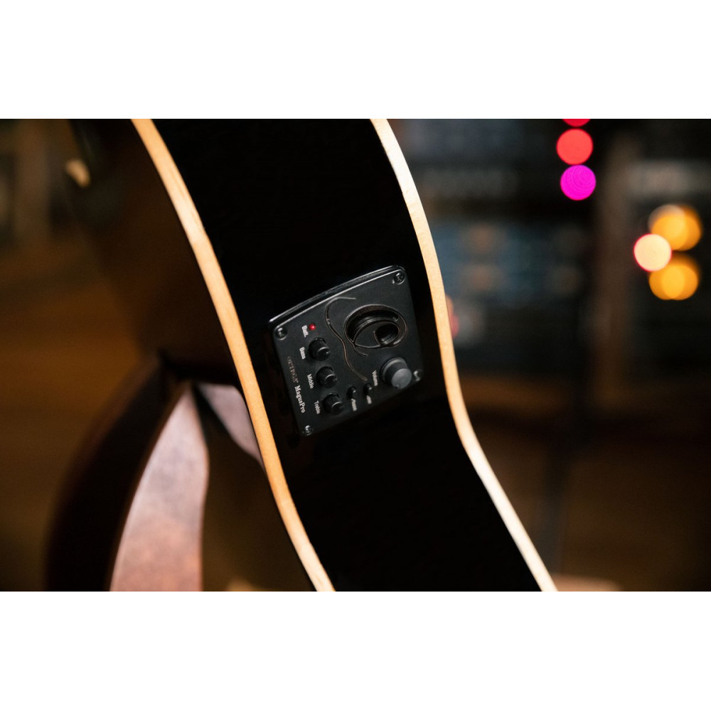 Ortega RCE138-T4BK Performer Series 4/4 Thinline Classical Guitar 6-String - Black + Gig Bag