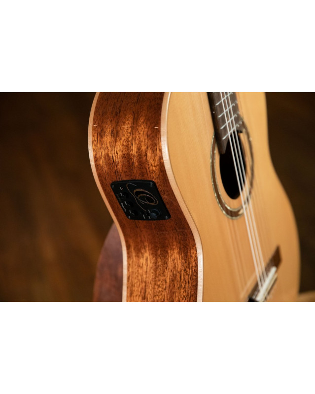 Ortega RCE138SN Performer Series 4/4 Classical Guitar 6-String - Natural + Gig Bag