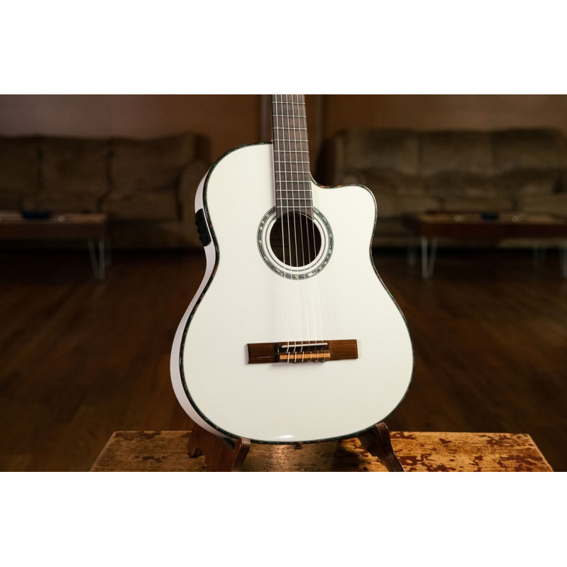 Ortega RCE145WH Family Series Pro 4/4 Classical Guitar 6 String - Solid Spruce / Mahogany White + Bag