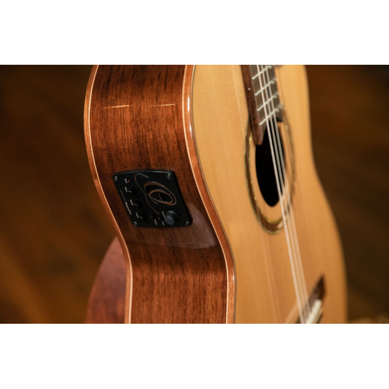 Ortega RCE158MN Performer Series 4/4 Classical Guitar 6-String - Natural + Gig Bag