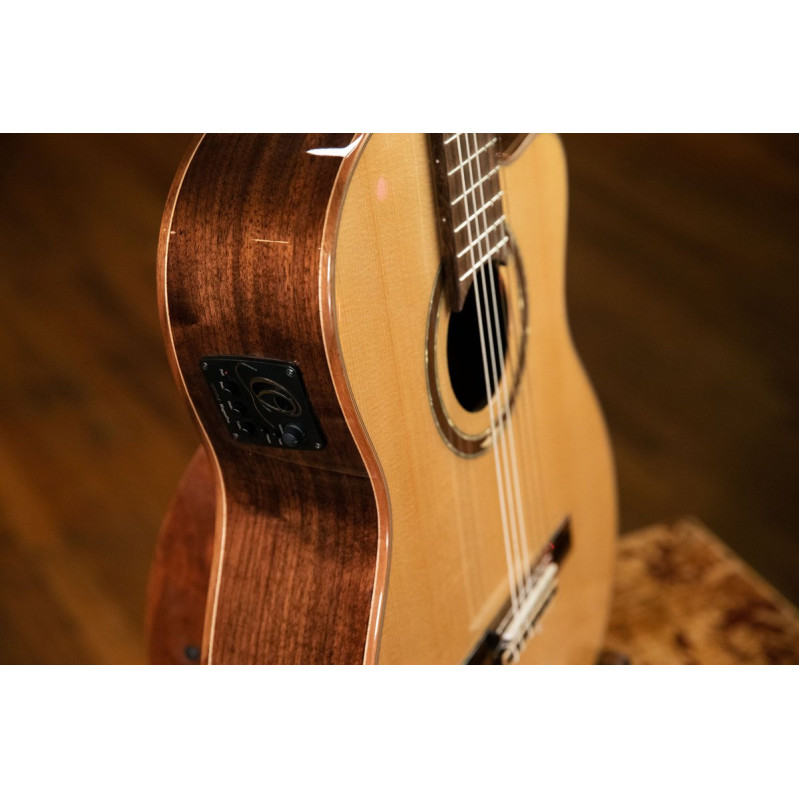 Ortega RCE158SN Performer Series 4/4 Classical Guitar 6-String - Natural + Gig Bag