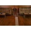 Ortega RCE158SN-TSB Performer Series 4/4 Classical Guitar 6-String - Tobacco Sunburst + Gig Bag