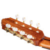 Ortega RCE159RW-8 Performer Series 4/4 Nylon String Guitar 8-String - Natural + Gig Bag