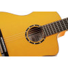Ortega RCE170F Family Series Pro 4/4 Acoustic Guitar 6 String - Solid Spruce / Cypress Gloss Stain Yellow + Gig Bag