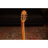 Ortega RCE170F Family Series Pro 4/4 Acoustic Guitar 6 String - Solid Spruce / Cypress Gloss Stain Yellow + Gig Bag