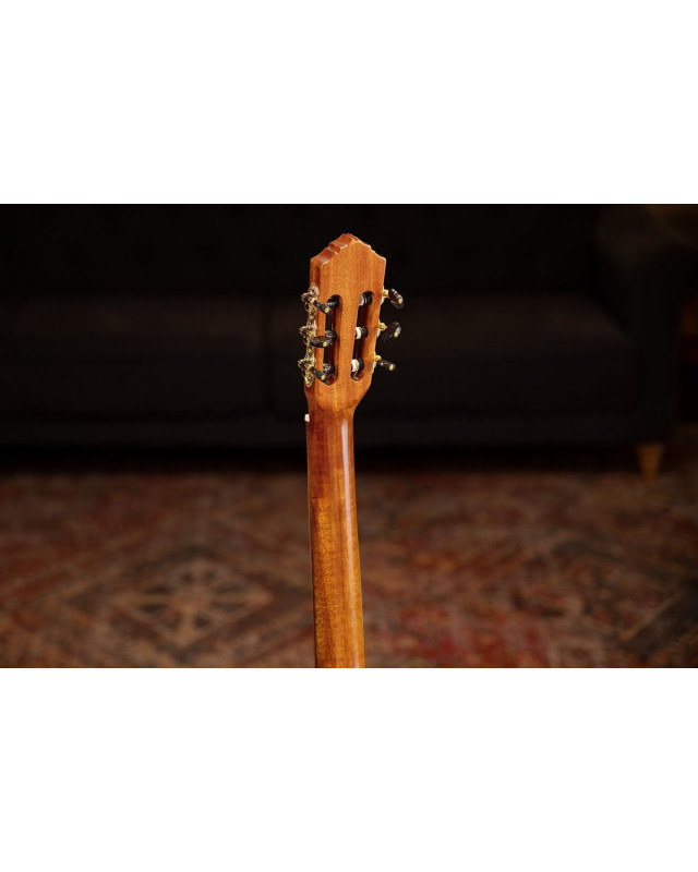 Ortega RCE170F Family Series Pro 4/4 Acoustic Guitar 6 String - Solid Spruce / Cypress Gloss Stain Yellow + Gig Bag