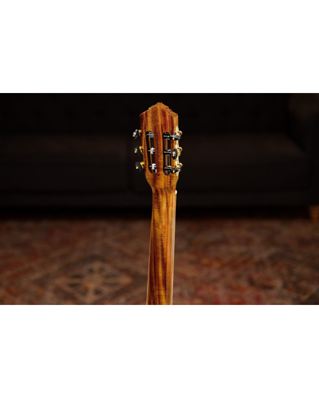 Ortega RCE170F-L Family Series Pro 4/4 Acoustic Guitar 6 String Lefty - Solid Spruce / Cypress Gloss Stain Yellow + Gig 