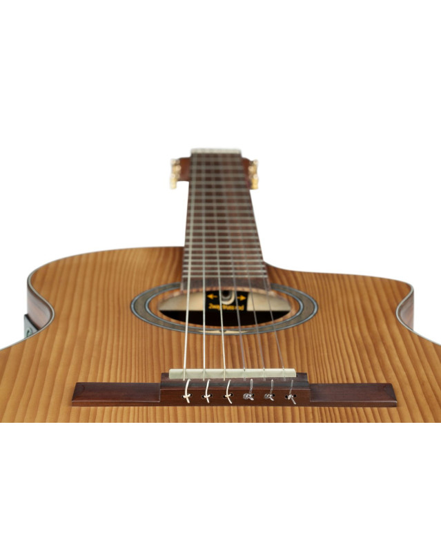 Ortega RCE23RO Thermo Series 4/4 Nylon String Guitar 6-String - Satin Dark Brown + Gigbag