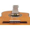 Ortega RCE24RO Thermo Series 4/4 Nylon String Guitar 6-String + Pro Gig Bag