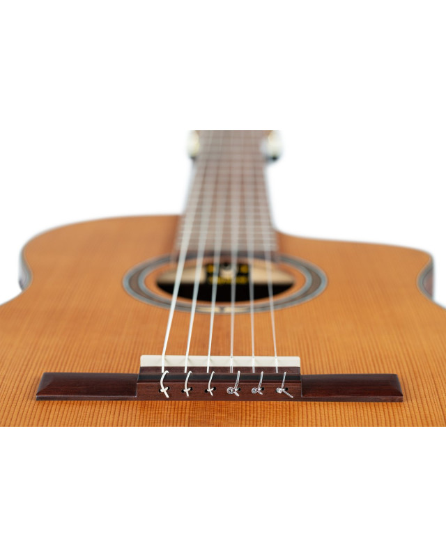 Ortega RCE24RO Thermo Series 4/4 Nylon String Guitar 6-String + Pro Gig Bag