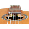 Ortega RCE24RO Thermo Series 4/4 Nylon String Guitar 6-String + Pro Gig Bag