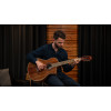 Ortega RCE30TH-ACA 30th Anniversary Series 4/4 Nylon String Guitar 6-String - Natural + Gig Bag